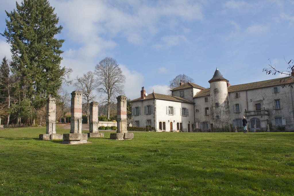 Chateau De Chantelauze Olliergues Esterno foto